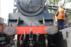 031.2010-09-09-SR-Autumn-Steam-Gala.-31-