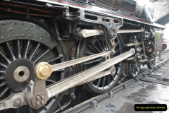 2072010-06-02-SR-Black-5-17207