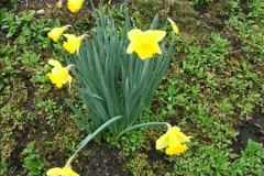 0032010-03-24-SR-on-08-2003