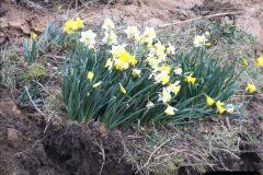 0602010-03-24-SR-on-08-59060