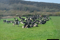 3242010-04-23-SR-Driving-80104.-82324