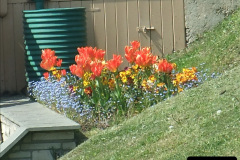 3372010-04-23-SR-Driving-80104.-95337