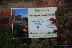 0302010-09-16-Sherborne-Dorset.-30030
