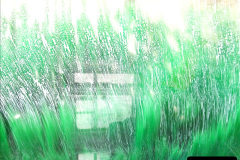 2172011-06-29-Driving-the-DMU.-28217