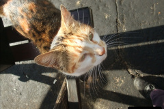 3052011-07-11-Driving-80104.-7305