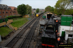 005.2011-05-06-SR-Beer-Festival-Diesel-Gala.-5-