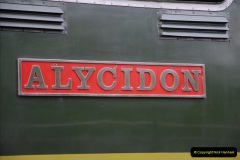 012.2011-05-06-SR-Beer-Festival-Diesel-Gala.-12-