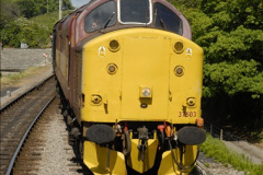 212.2011-05-06-SR-Beer-Festival-Diesel-Gala.-212-