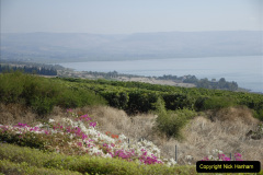 013.2011-11-05-Haifa-Israel.-13-