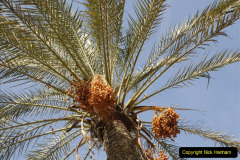 019.2011-11-07-to-08-Alexandria-Egypt.-19-