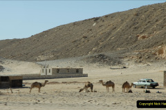 024.2011-11-11-Sharm-El-Sheikh-St.-Catherines-Monastery.-24-