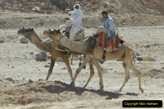033.2011-11-11-Sharm-El-Sheikh-St.-Catherines-Monastery.-Transport.-33-