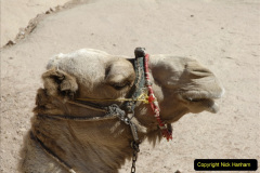 043.2011-11-11-Sharm-El-Sheikh-St.-Catherines-Monastery.-Transport.-43-