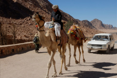 044.2011-11-11-Sharm-El-Sheikh-St.-Catherines-Monastery.-Transport.-44-