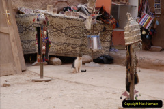 118.2011-11-12-Jordan.-Aqaba-Petra-118-