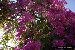 020.2011-11-03-Cyprus.-20-