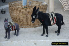 026.2011-11-03-Cyprus.-26-