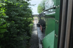 5382011-05-27-Your-Host-Driving-34028-7538