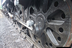 5562011-05-27-Your-Host-Driving-34028-25556