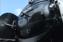 5632011-05-27-Your-Host-Driving-34028-32563