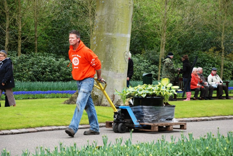 26-April-2012-Keukenhof-Gardens-Holland.-114