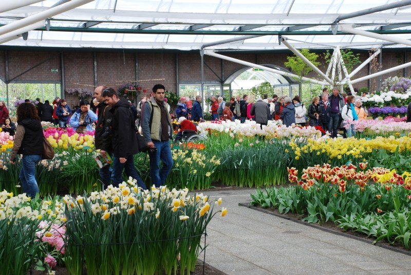 26-April-2012-Keukenhof-Gardens-Holland.-128