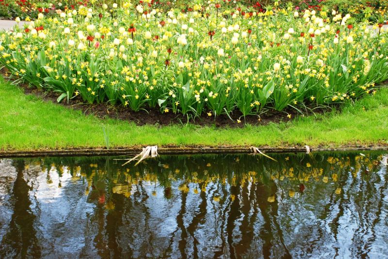 26-April-2012-Keukenhof-Gardens-Holland.-139