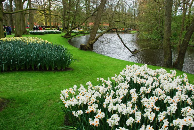 26-April-2012-Keukenhof-Gardens-Holland.-150