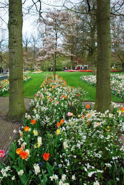 26-April-2012-Keukenhof-Gardens-Holland.-66