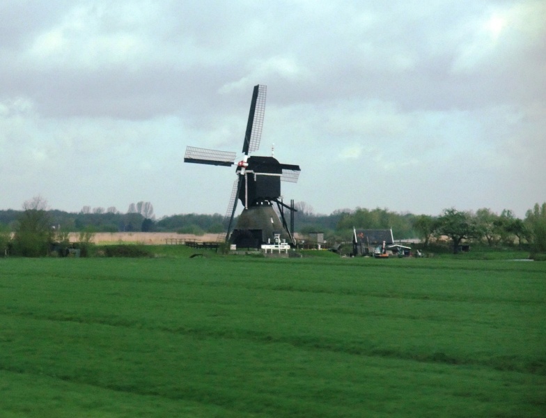 26-April-2012-Keukenhof-Gardens-Holland.-8