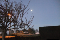 012012-12-02-Santa-Specials-and-DMU-1.-1001