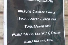 1612012-12-12-Santa-Specials-DMU-2.-31161