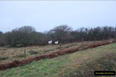 3102012-12-23-Santa-Specials-DMU.-12310