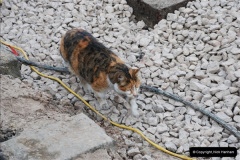 07292012-02-08-SR-Engineering-Work-on-the-08-1510728