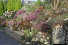 1672012-01-07-Driving-the-DMU-shuttle-service-Corfe-Castle-to-Norden-52167