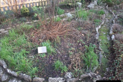 1752012-01-07-Driving-the-DMU-shuttle-service-Corfe-Castle-to-Norden-60175