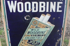 5292012-01-21-Driving-the-DMU-Shuttle-Service.-41529