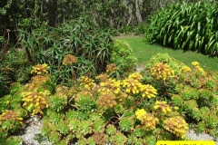 169.2012-05-27-The-Isles-of-Scilly.-169-