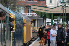 175.2012-05-10-11-SR-Beer-Festival-Diesel-Gala-175-