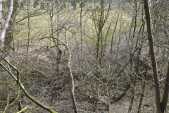 154.2013-April-12-to-15-Fred-Dibnah-Bolton-Lancashire.-154-