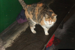 1802013-01-09-SR-Engineering-Work-and-the-08.-180180