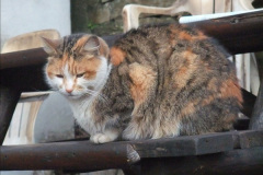 2122013-01-16-Engineering-Work-and-the-08.-No.2-26212