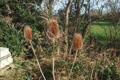 4182013-02-05-Engineering-Work-and-the-08.-No.3-121418