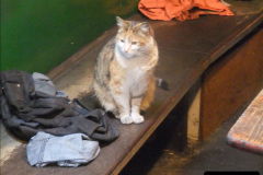 1652013-04-08-SR-driving-34028.-3165