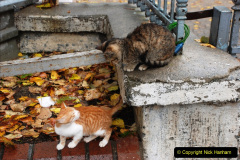183.2013-10-17-to-18-London-to-Istanbul-Turkey.-183-