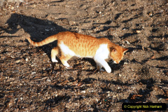 133.2013-10-28-to-29-Bodrum-Turkey-and-return-to-London-133-