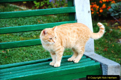 101.2013-10-23-Yalta-Ukraine.-101-
