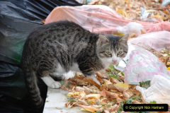 066.2013-10-24-Sevastopol-Ukraine.-66-