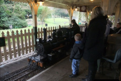 0192013-04-04-The-Van-Hage-Garden-Centre-Hoddesdon-Hertfordshire.-9019