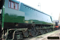 199.2013-05-10-SR-Beer-Festival-Diesel-Gala.-199